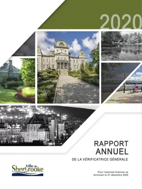 Rapport annuel 2020